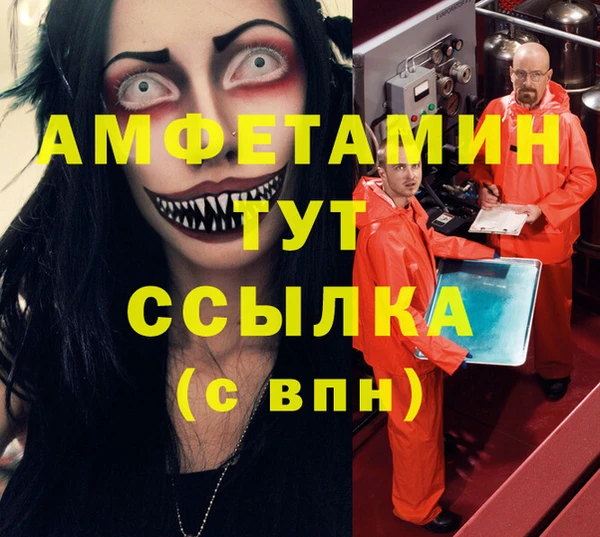 стафф Вязьма